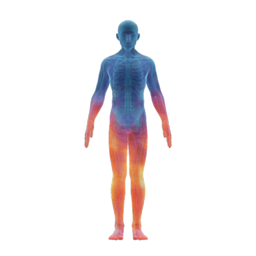 body